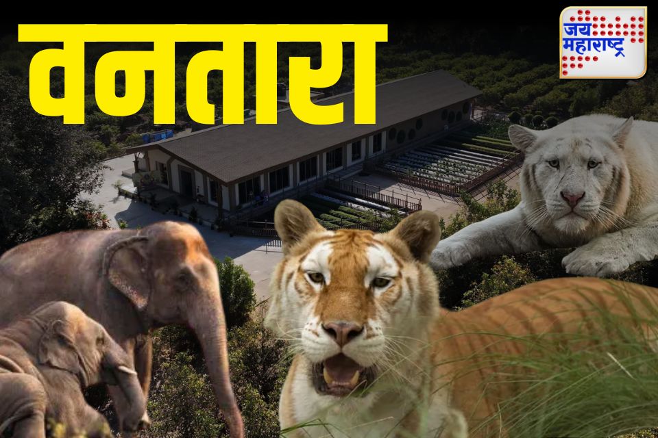 vantara jamnagar जनतेसाठी कधी खुले होणार वन्यजीव केंद्र शुल्क वेबसाइट क्षेत्रफळ आणि प्रकल्प खर्च
