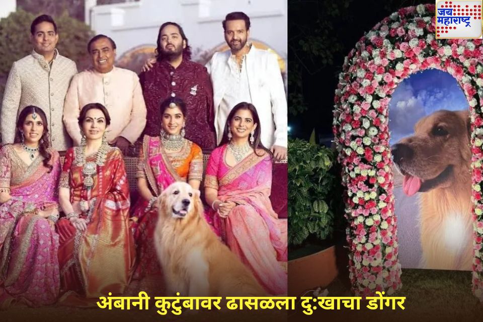 अंबानी कुटुंबावर ढासळला दु:खाचा डोंगर; लाडका कुत्रा 