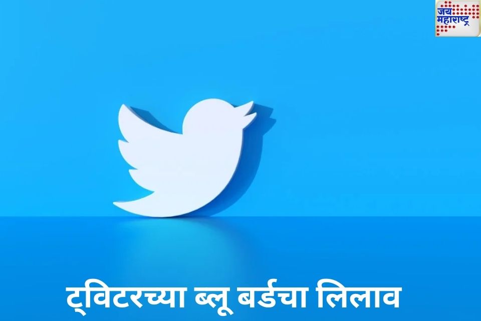 Twitter Blue Bird Auction: ट्विटरच्या ब्लू बर्डचा झाला लिलाव; किती रुपयांना विकला गेला लोगो? जाणून घ्या  
