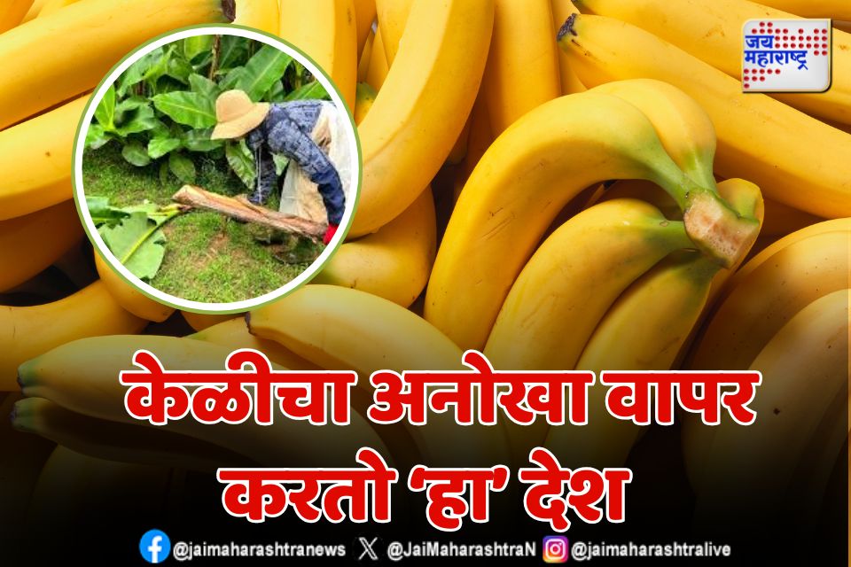  हा देश केळीपासून बनवतो कपडे जाणून घ्या  