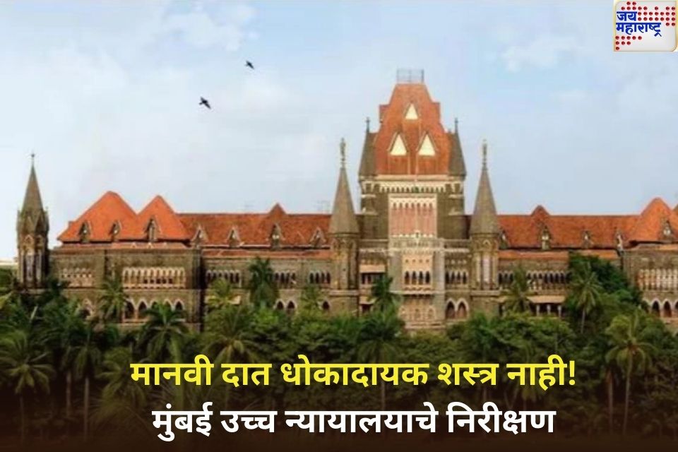 मानवी दात धोकादायक शस्त्र नाही मुंबई उच्च न्यायालयाने रद्द केला महिलेविरुद्धचा fir 