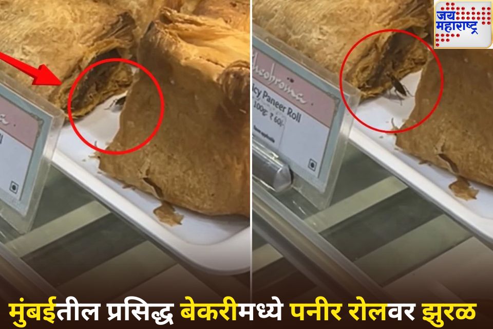सावधान मुंबईतील प्रसिद्ध बेकरी थिओब्रोमा आउटलेटमध्ये पनीर रोलवर रेंगाळले झुरळ पहा व्हिडिओ