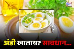 Egg Side Effects: कोणते आजार असलेल्या व्यक्तींनी अंडी खाऊ नये?, जाणून घ्या...