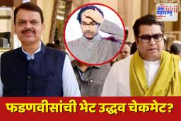 राज ठाकरे अन् फडणवीसांमधली भेट संपली; बैठकीचा तपशील गुलदस्त्यात
