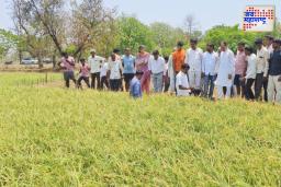 गोंदियात वादळी वाऱ्यासह पावसाची हजेरी; अवकाळीचा धान पिकाला फटका बसण्याची शक्यता