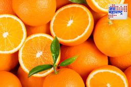 Oranges Benefits: संत्री दररोज नाश्त्यात खाल्ल्याने तुम्हाला ‘हे’ आश्चर्यकारक फायदे मिळतील 
