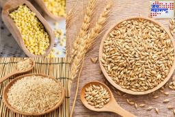 Cholesterol Reduce : कोलेस्टेरॉल वाढण्याची भीती वाटतेय? ही 3 धान्यं खायला सुरुवात करा; आतडे स्वच्छ होण्यापासून ते..