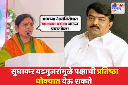 मलिन प्रतिमा असलेल्या व्यक्तींना पक्षात स्थान मिळणे योग्य नाही; बडगुजरांच्या पक्ष  प्रवेशाला सीमा हिरेंचा विरोध 