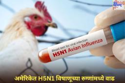 अमेरिकेवर महामारीचे संकट? H5N1 विषाणूच्या रुग्णांमध्ये वाढ