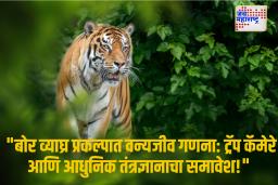 बोर व्याघ्र प्रकल्प सज्ज; वाईल्ड ॲनिमल काऊंटिंगसाठी तयारी पूर्ण