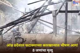 आंध्र प्रदेशात फटाक्याच्या कारखान्यात भीषण आग; 8 जणांचा मृत्यू