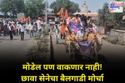 मोडेल पण वाकणार नाही;छावा सेनेचा बैलगाडी मोर्चा