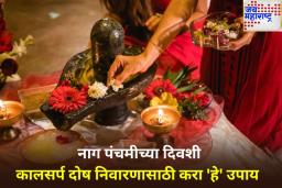 नाग पंचमीला शिवलिंगाला अर्पण करा 
