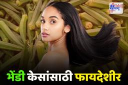 Okra Hair Benefit: भेंडी केसांना लावल्याने 