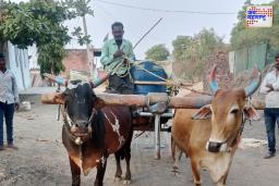 मुरमा येथील झोपडपट्टीतील नागरिक तब्बल महिनाभरापासून पाण्याविना