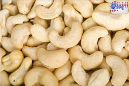 Cheapest cashew in India: देशातील असे ठिकाण जिथे 100-200 रुपयांना मिळू शकतात पिशवी भरून काजू