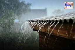 Rain Update: राज्यात पावसाची दमदार एंन्ट्री, कोणत्या जिल्ह्यात पाऊस...