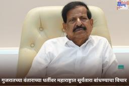 गुजरातच्या वंताराच्या धर्तीवर महाराष्ट्रात सूर्यतारा बांधण्याचा विचार; वनमंत्र्यांचे अनंत अंबानींना पत्र