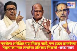 फक्त सभांना गर्दी असून चालत नाही, गर्दीचे मतपरिवर्तन होणे महत्वाचे; पवारांचा ठाकरे बंधू युतीवर राजकीय इशारा