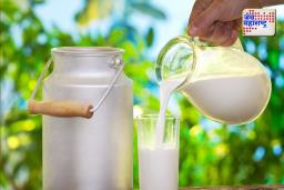 Milk Price Hike: सर्वसामान्यांची डोकेदुखी वाढली; दुधाचे दर वाढले 
