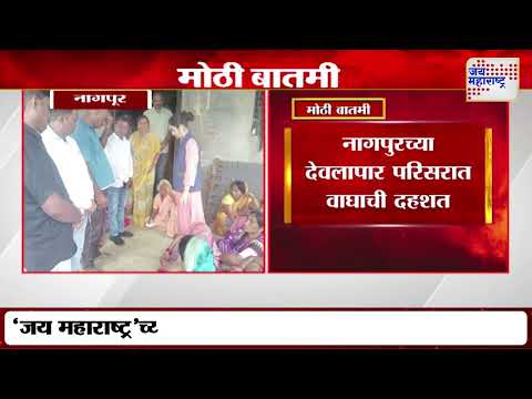 Nagpur | नागपुरच्या देवलापार परिसरात वाघाची दहशत | Marathi News