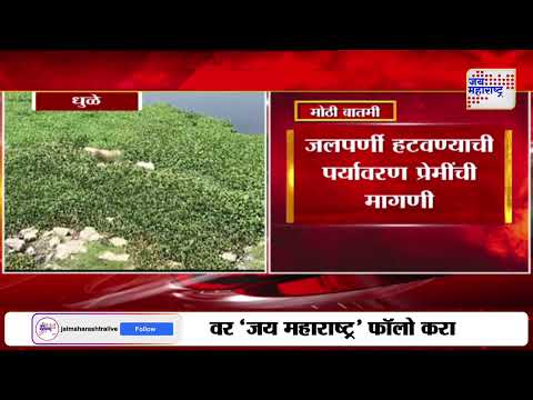 Dhule River | धुळ्यातील पांझरा नदी प्रदूषित | Marathi News