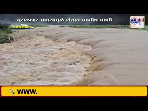 Yavatmal Rain | यवतमाळ जिल्ह्यात पावसाची जोरदार बॅटींग | Marathi News