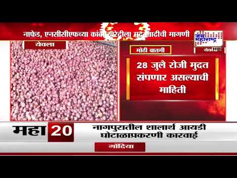 Yeola | नाफेड, एनसीसीएफच्या कांदा खरेदीला मुदत वाढीची मागणी | Marathi News
