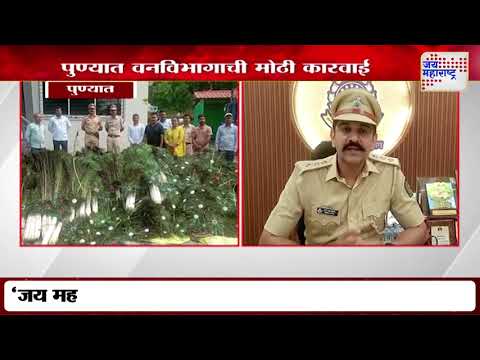 Pune | पुण्यात वनविभागाची मोठी कारवाई | Marathi News