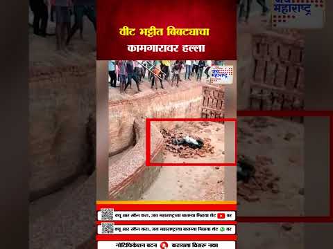 Uttar Pradesh | जीव वाचवण्यासाठी पठ्ठ्या थेट बिबट्याशी भिडला | Marathi News