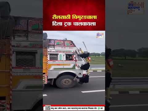 | रीलसाठी जीवाशी खेळ   | Marathi News