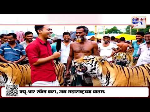 Viral Video | वाघांच्या विक्रीचा व्हीडिओ व्हायरल | Marathi News