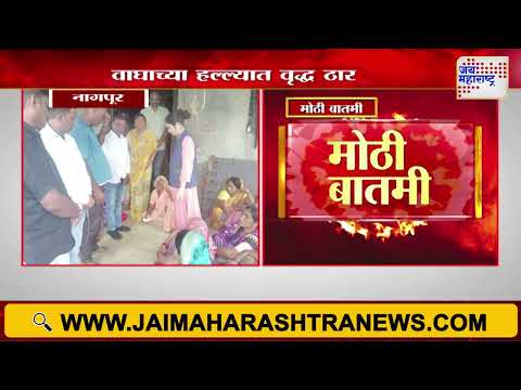 Nagpur | Tiger Attacked On Old Man | वाघाच्या हल्ल्यात वृद्ध ठार | Marathi News