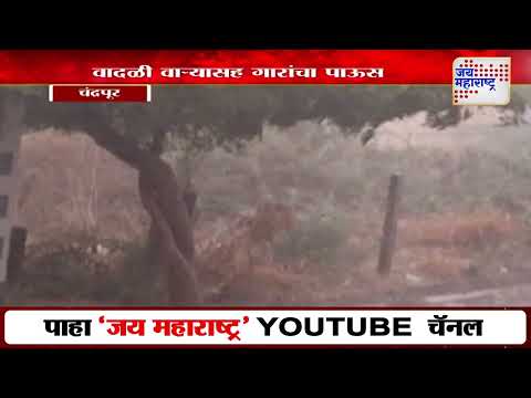 Chandrapur | चंद्रपूर जिल्ह्यात वादळी वाऱ्यासह पावसाची हजेरी | Marathi News