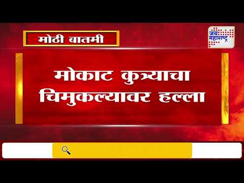 Pune | मोकाट कुत्र्याचा चिमुकल्यावर हल्ला | Marathi News