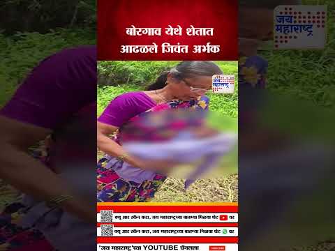 Sangli | बोरगाव येथे शेतात आढळले जिवंत अर्भक | Marathi News