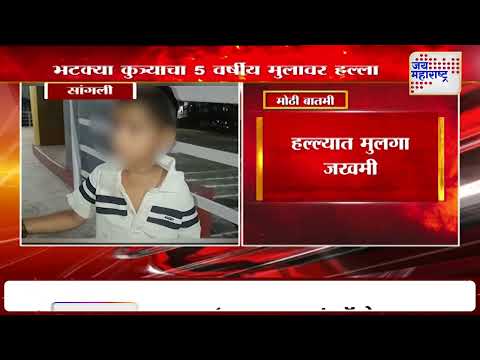 Sangli Dog Attack | भटक्या कुत्र्याचा 5 वर्षीय मुलावर हल्ला | Marathi News