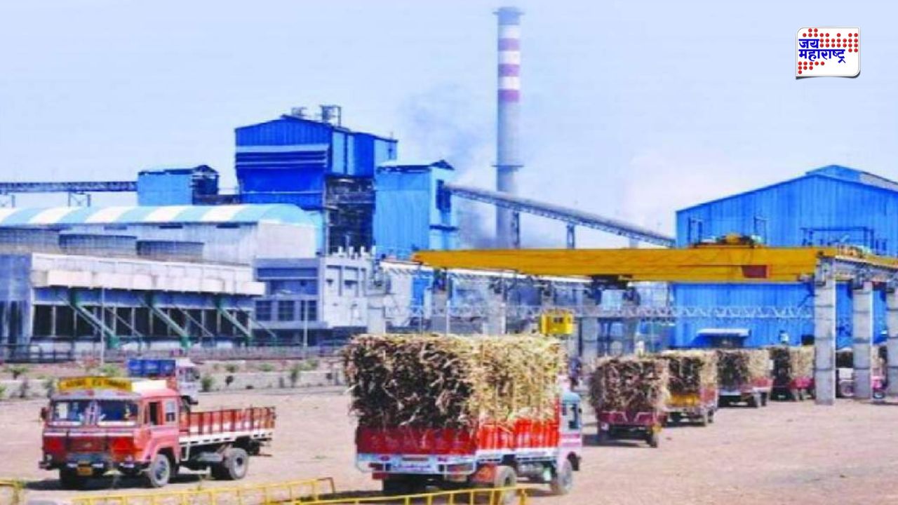 संभाव्य टंचाई टाळण्यासाठी शासनाचा मोठा निर्णय; 15 ऑक्टोबरपूर्वीच साखर कारखाने सुरू करण्यास मंजुरी