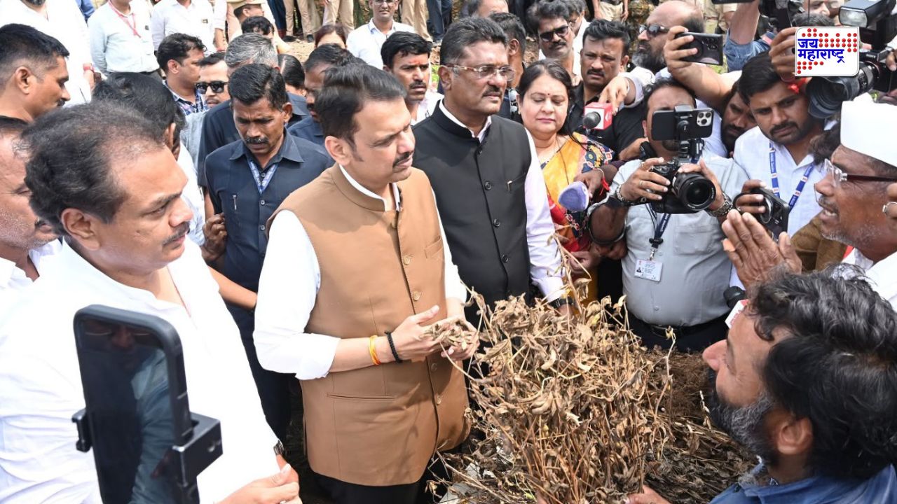 Talukas Drought List Maharashtra: तुमचा तालुका दुष्काळग्रस्त यादीत आहे का? 6 विभागांतील ‘या’ 265 तालुक्यांची अधिकृत यादी जाहीर