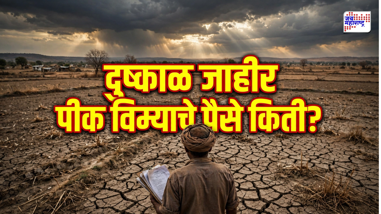 Crop Insurance Compensation: दुष्काळ जाहीर झाल्यावर पीक विमा किती मिळणार? शेतकऱ्यांनी काय करावे?