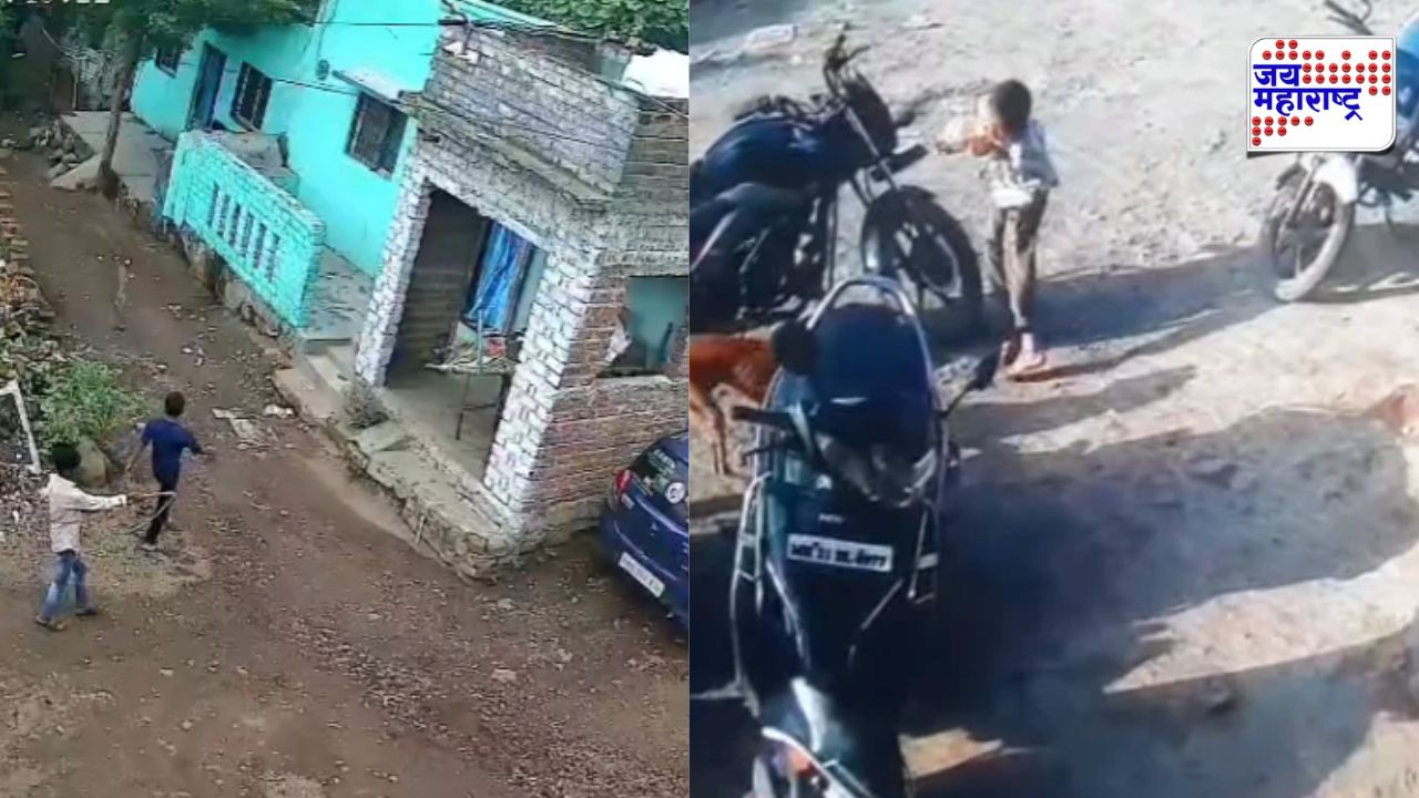 मोकाट कुत्र्यांच्या हल्ल्यांनी नागरिक त्रस्त