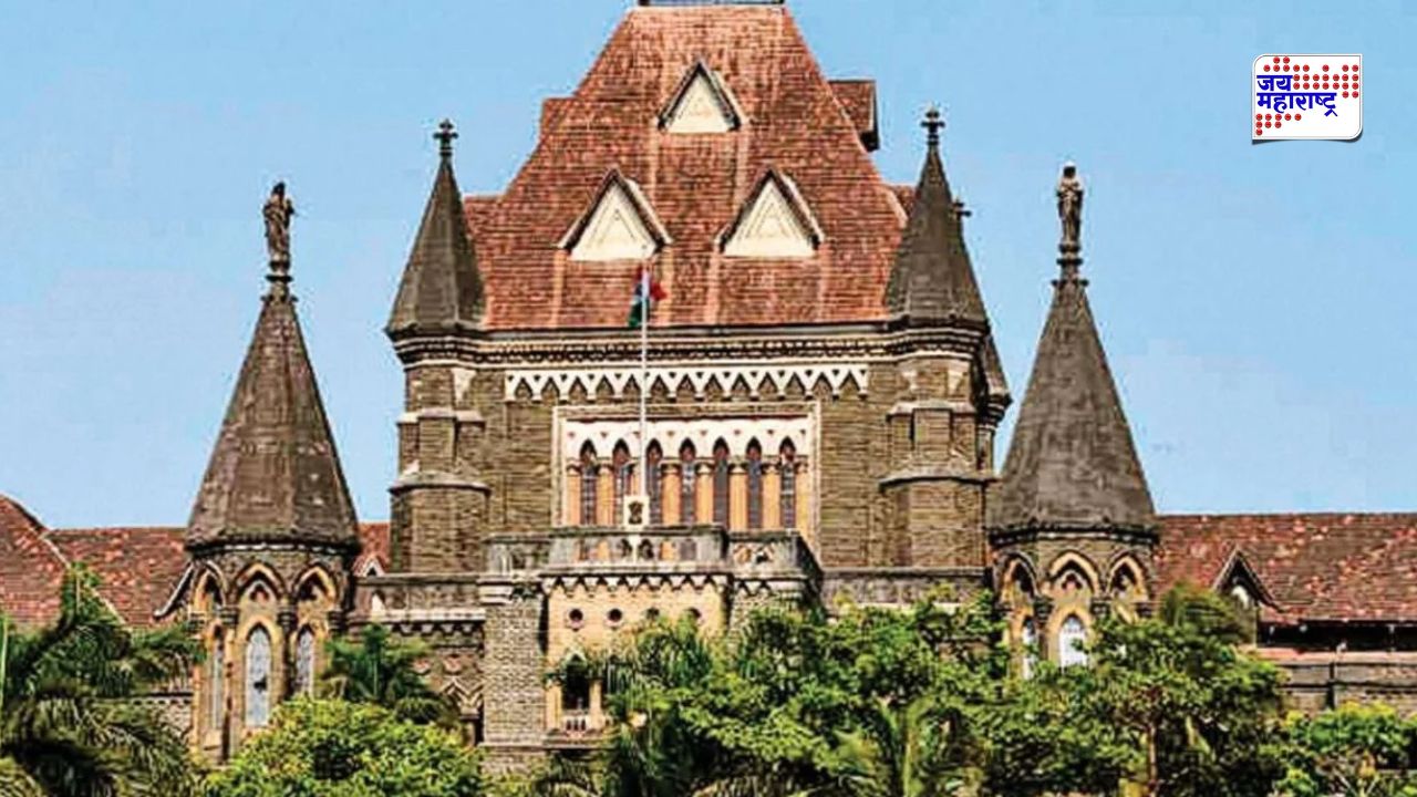 ‘घरकाम करायला सांगणं हा कौटुंबिक छळ नाही…’; विवाहित महिलेच्या तक्रारीवर उच्च न्यायालयाचा महत्त्वपूर्ण निकाल
