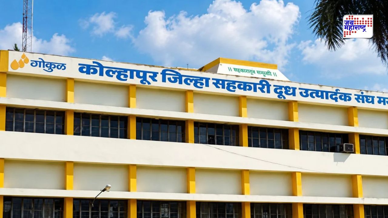 कोल्हापूर ‘गोकुळ’ दूध संघ निवडणुकीत 99.96 टक्के विक्रमी मतदान; दिग्गजांची प्रतिष्ठा पणाला, उद्या होणार फैसला