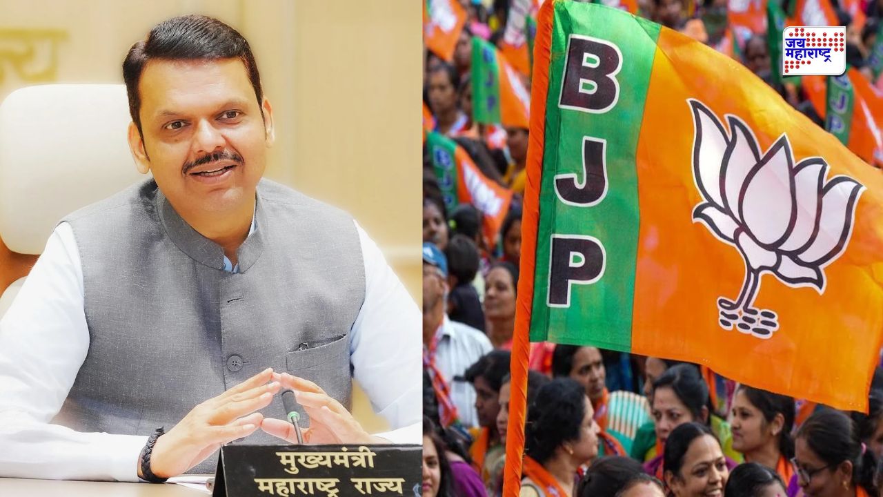 आगामी निवडणुकांसाठी भाजप युवा मोर्चाची नवी कार्यकारिणी जाहीर; पहा कोणाला मिळाली संधी?