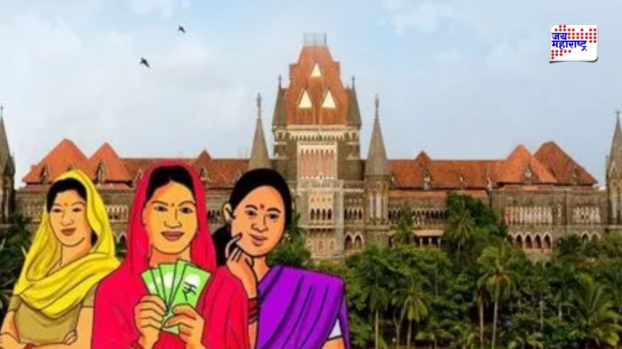 लाडकी बहीण योजनेतील 92 हजार अपात्र लाभार्थ्यांवर कारवाईची मागणी; पैसे वसूल न केल्यास सामाजिक कार्यकर्त्यांकडून थेट हायकोर्टात जाण्याचा इशारा