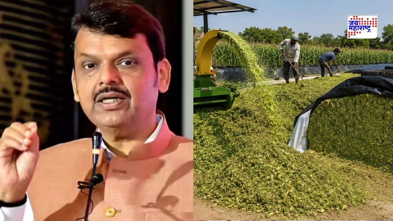 जनावरांच्या चाऱ्याचा प्रश्न सुटणार! बावनकुळे समितीच्या शिफारसीनंतर सरकारचा मोठा निर्णय; मुख्यमंत्र्यांनी थेट GR चं काढला