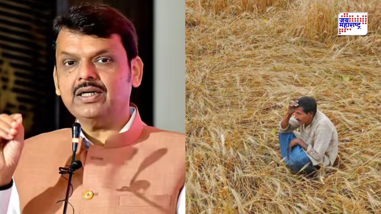 महाराष्ट्रातील आणखी 36 तालुक्यांमध्ये होणार दुष्काळाची पाहणी; सरकारकडून 20 टक्के पिकांचे प्रत्यक्ष सर्वेक्षण करण्याचे आदेश
