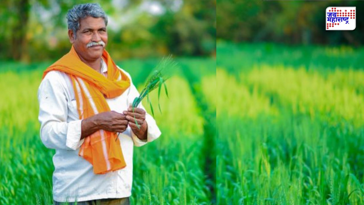 PM किसानचा 24 वा हप्ता उद्या खात्यात येणार? पैसे अडकू नयेत म्हणून मोबाईलवर लगेच करा 'हे' काम