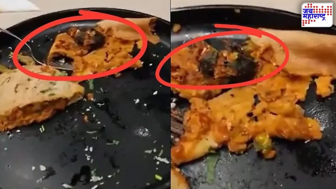 Dosa Viral Video
