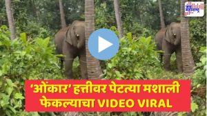 ‘ओंकार’ हत्तीवर पेटत्या मशाली फेकल्याचा VIDEO VIRAL